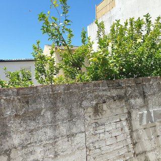 Terreno en venta en Ubrique