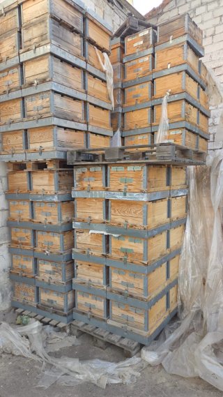 Colmenas Langstroth nuevas sin usar