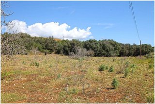 Terreno en venta en Sant Llorenç des Cardassar