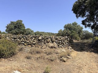 Terreno en alquiler en Pedrezuela