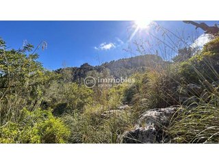 Casa rural en venta en Alaró