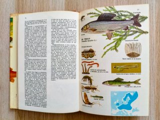 Los peces de agua dulce de España y de Europa