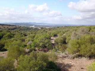 Terreno en venta en Manacor Centro en Manacor