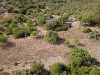 Terreno en venta en Manacor Centro en Manacor