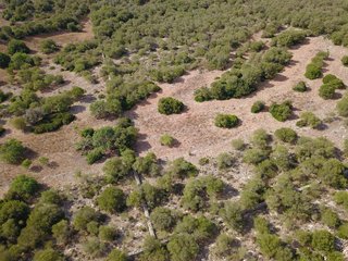 Terreno en venta en Manacor Centro en Manacor