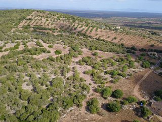 Terreno en venta en Manacor Centro en Manacor