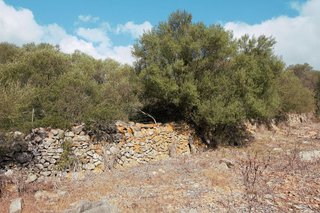Terreno en venta en Manacor Centro en Manacor