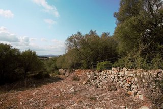 Terreno en venta en Manacor Centro en Manacor