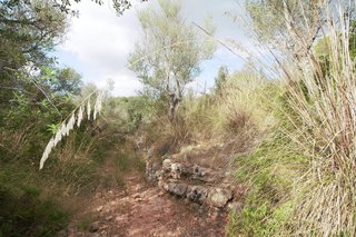Terreno en venta en Manacor Centro en Manacor