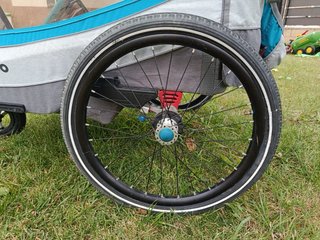 Carro bici queridoo infantil 2 plazas