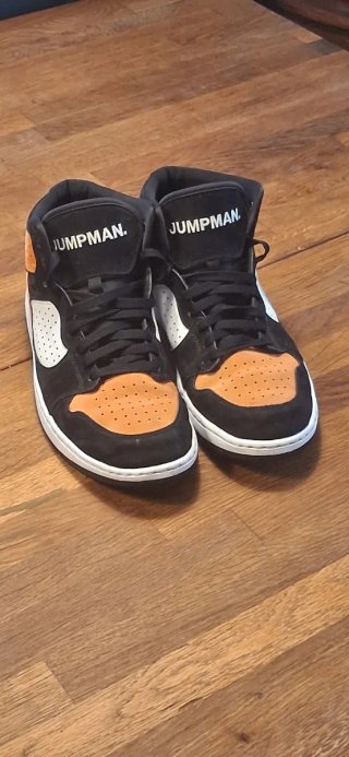 Nike Air Jordan Access 45 EU