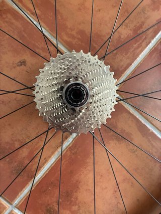 Ruedas Bontrager Paradigm Comp 25 TLR