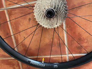 Ruedas Bontrager Paradigm Comp 25 TLR