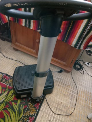 Plataforma Vibratoria Profesional