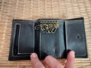 Cartera Jaguar Negra