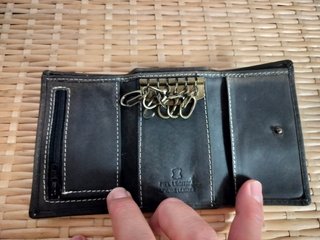 Cartera Jaguar Negra