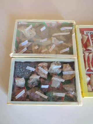 Colección Minerales y Fósiles