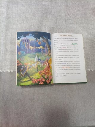 Libro infantil de Gerónimo Stilton en buen estado.