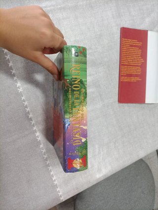 Libro infantil de Gerónimo Stilton en buen estado.
