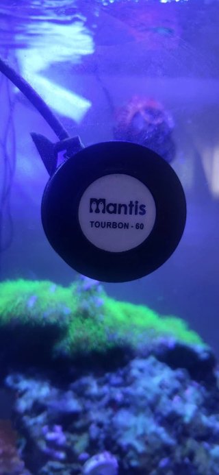 Acuario marino boyu 130 litros mueble boyu y sump