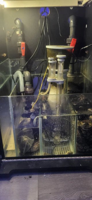 Acuario marino boyu 130 litros mueble boyu y sump