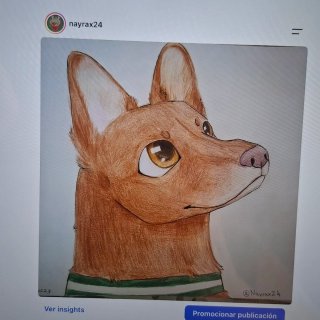 Dibujo a tu mascota (1/4 plazas)