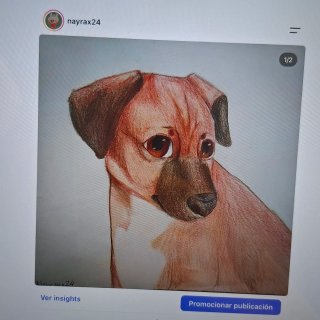 Dibujo a tu mascota (1/4 plazas)