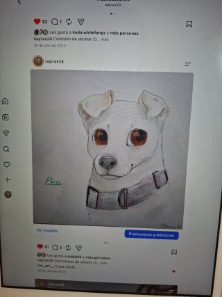 Dibujo a tu mascota (1/4 plazas)