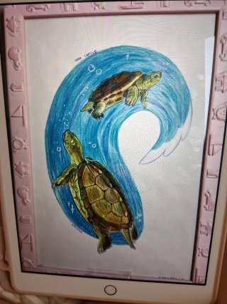 Dibujo a tu mascota (1/4 plazas)