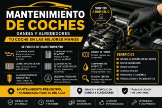 Mecanico a domicilio