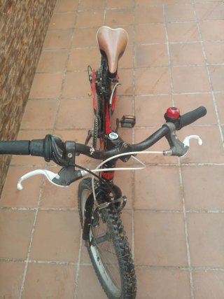 Bicicleta infantil conor 20
