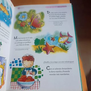 Mi mejor libro de adivinanzas