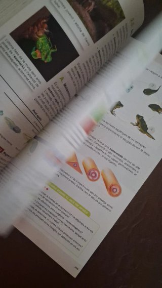 Biología, Geología i Ciències Ambientals 1r Bat...