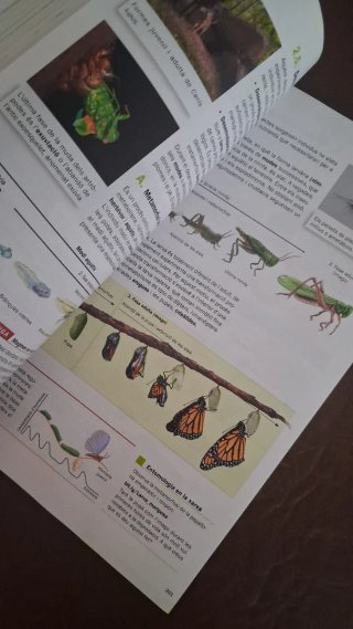 Biología, Geología i Ciències Ambientals 1r Bat...