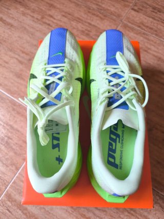 Zapatillas Nike Pegasus Plus Running