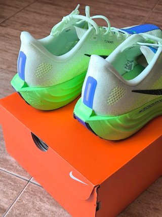 Zapatillas Nike Pegasus Plus Running