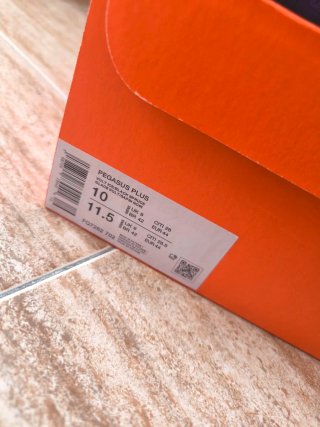 Zapatillas Nike Pegasus Plus Running