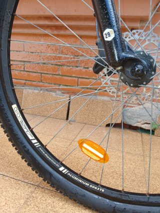 Bicicleta Montaña 29 WST