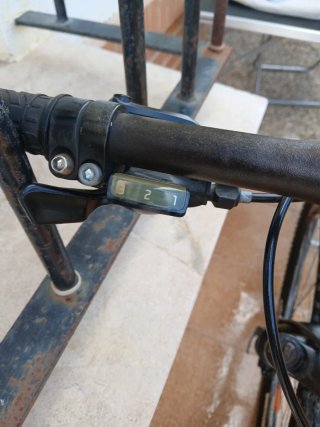 Bicicleta Montaña 29 WST