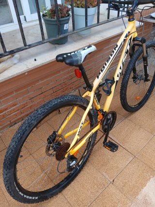 Bicicleta Montaña 29 WST
