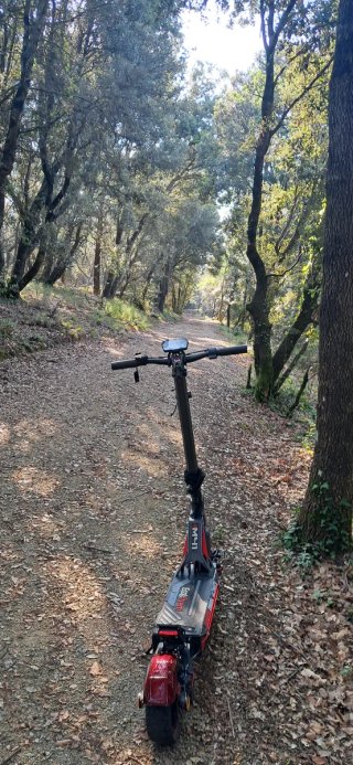 Patinete Eléctrico