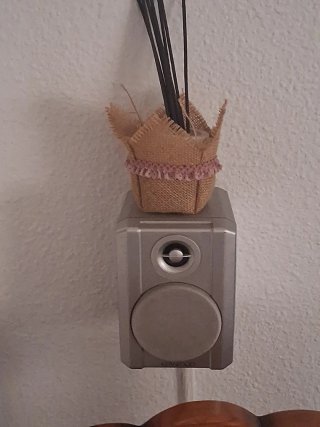 Altavoz Kenwood Beige