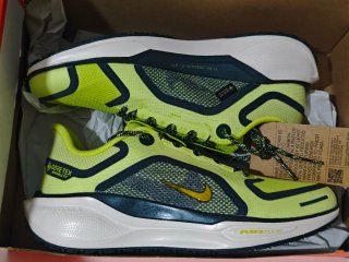 Zapatillas Nike Air Zoom Pegasus 41 Talla 40.5