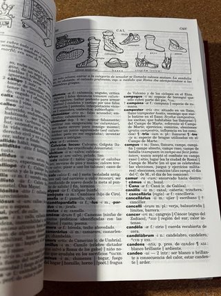 Diccionario Ilustrado Latín. Latino-Español/ Es...