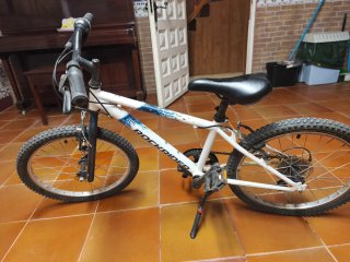 Bicicleta Infantil Rockrider ST 120