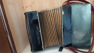 Fisarmonica Mozart 40 Basi