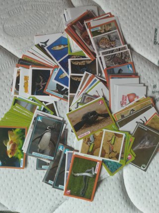 Cromos El gran álbum del mundo animal 2019