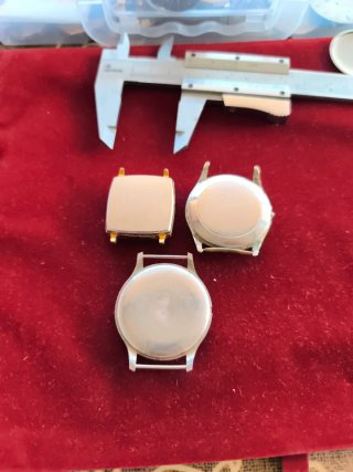 Cajas de relojes Record/Titan/Reglia