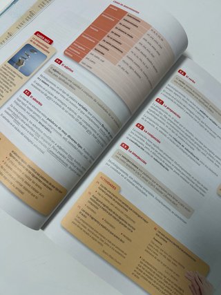 Lengua y literatura 1 Bachillerato