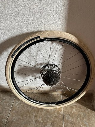 Rodillo Bkool Connect Sport